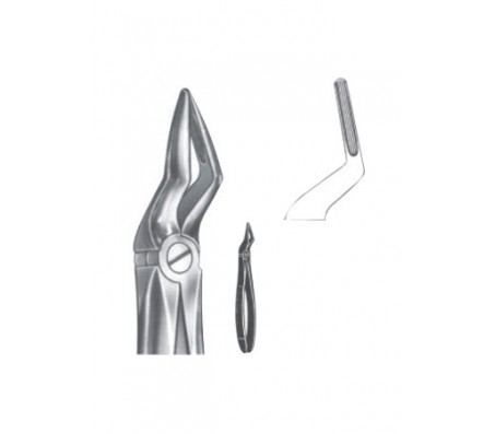 Extracting Forceps